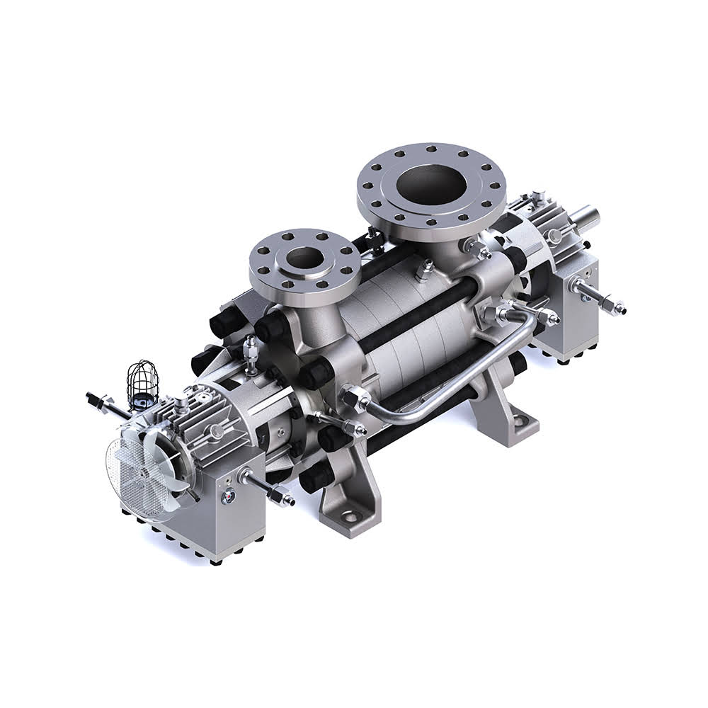 Between bearings pumps
