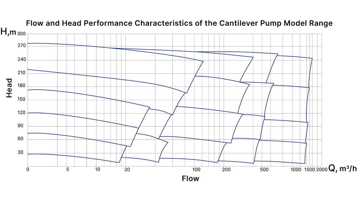 Overhung pumps diagram