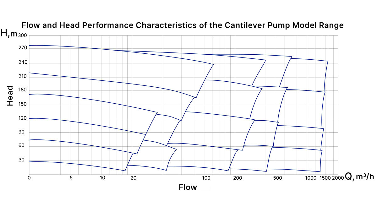 Overhung pumps diagram